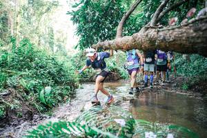 BIB: 
                            <button type="button" onclick="openModal(25476858)" class="btn btn-primary btn-sm float-right btn-popup" data-toggle="modal" data-target=".modal-high-quality">
                        <i class="fas fa-shopping-cart"></i> Add to Cart
                    </button>
                                            <button type="button" onclick="isThisMe(25476858, true)" class="btn btn-success btn-sm float-right btn-popup btn-isme hidden" data-toggle="tooltip" data-placement="bottom" title="นี่คือรูปของคุณใช่ไหม คลิกที่นี่เพื่อเอาเข้าอัลบั้ม">
                        <i class="fas fa-plus"></i> Add to album
                    </button>
                    <button type="button" onclick="isThisMe(25476858, false)" class="btn btn-warning btn-sm float-right btn-popup btn-isnotme hidden">
                        <i class="fas fa-ban"></i> Remove from album
                    </button>